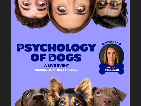 Psychology of Dogs
