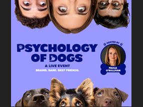Psychology of Dogs