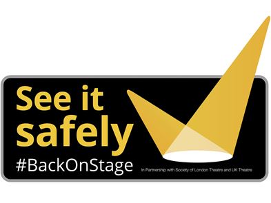 See it Safely logo 2020