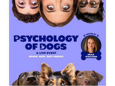 Psychology of Dogs